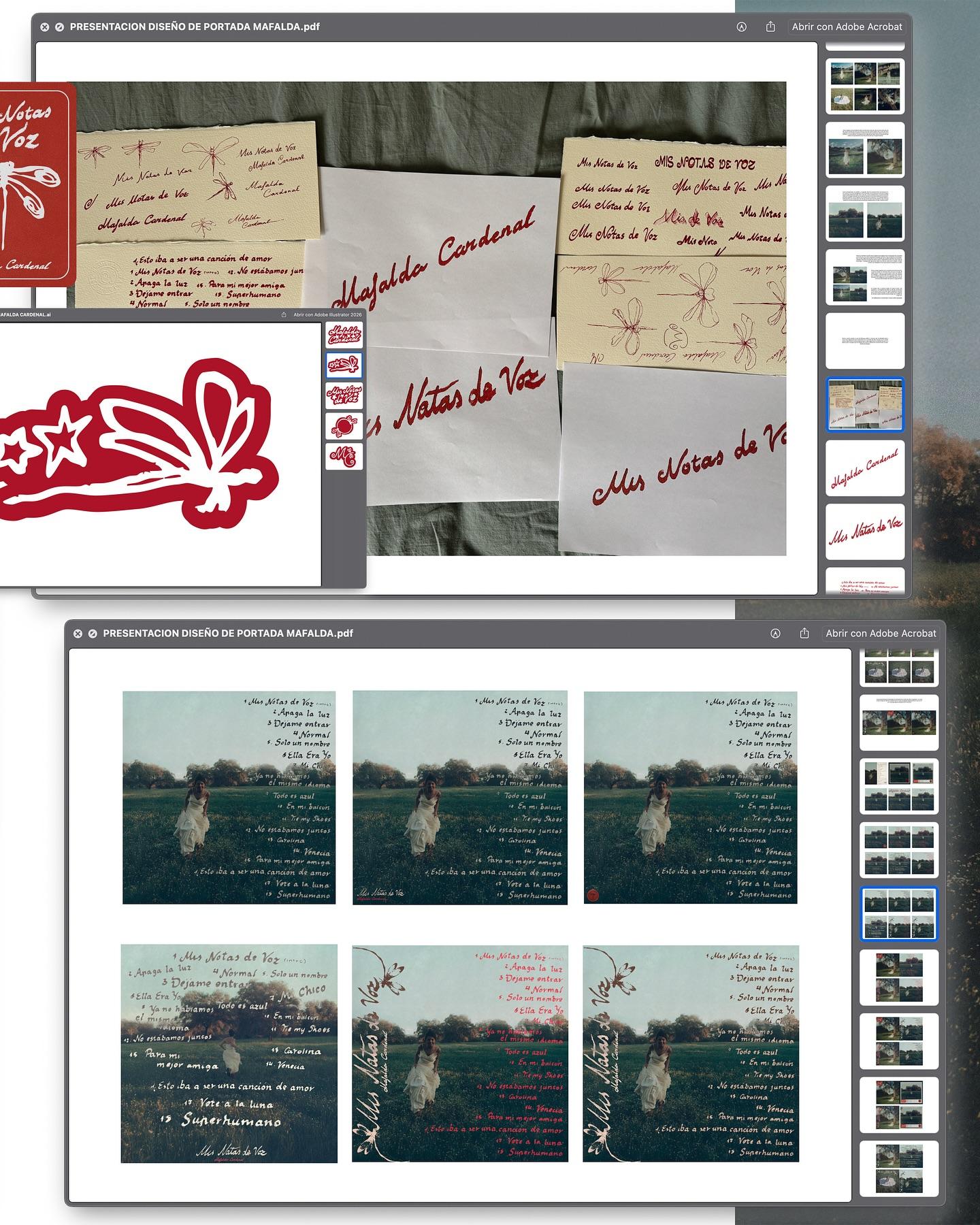 MEDIA SLIDE 2