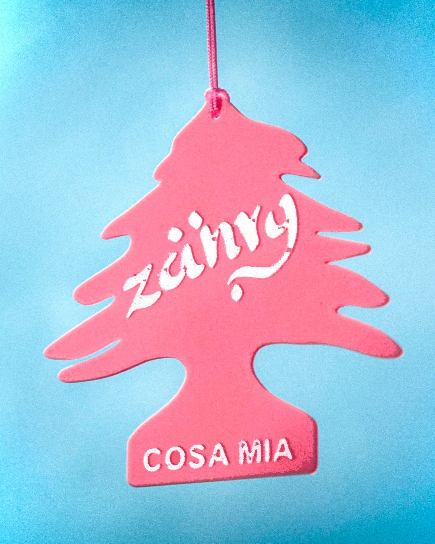 Visual Identity for "ZAHRY"