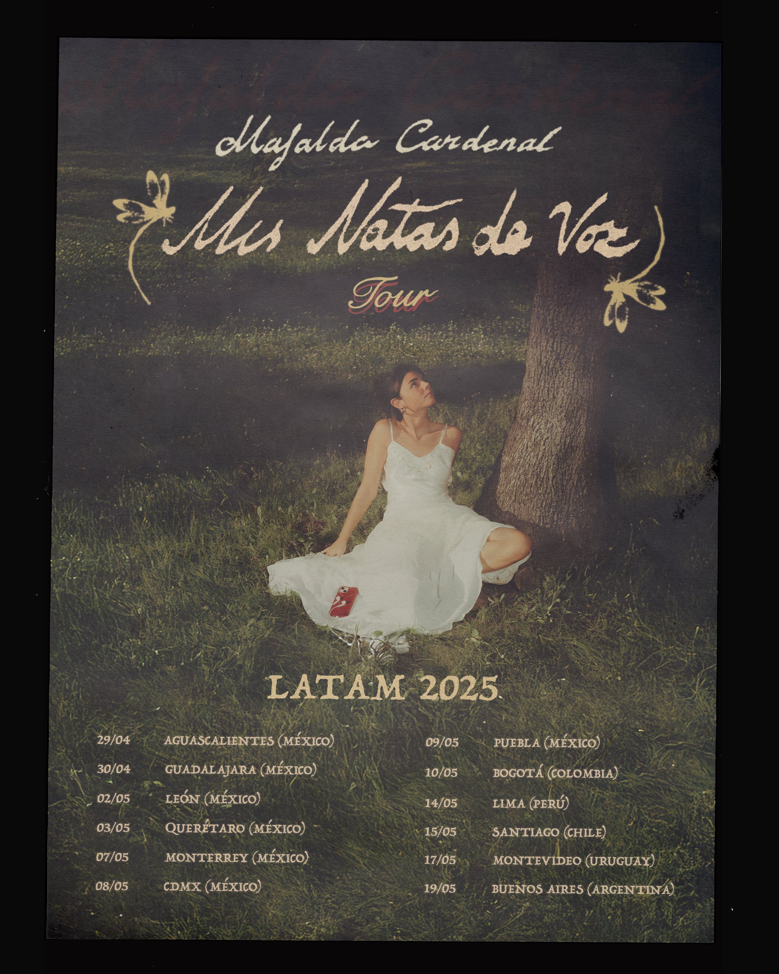 Latam Flyer